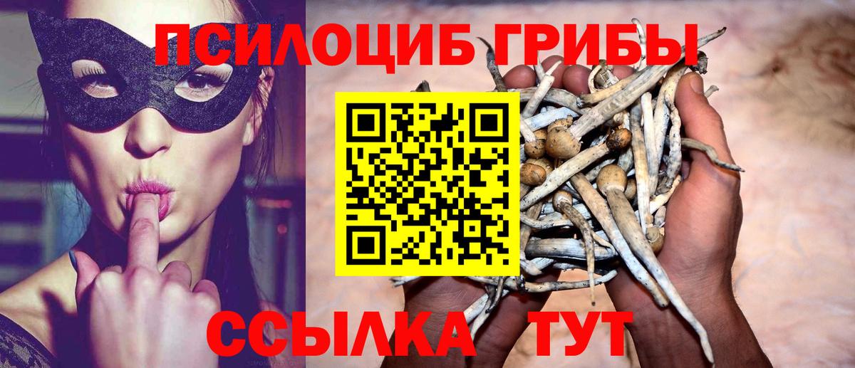 Галлюциногенные грибы Magic Shrooms Заволжье