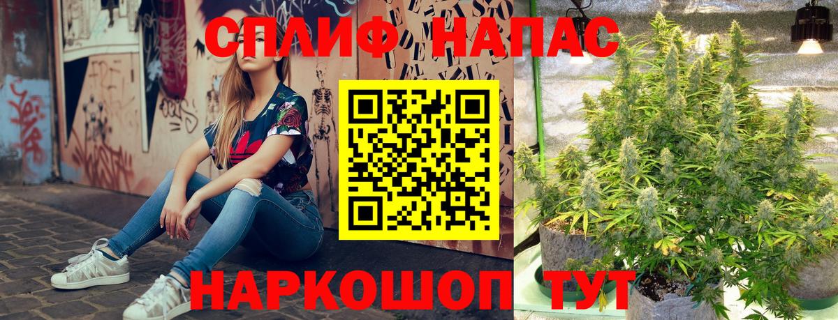 Канабис планчик Заволжье